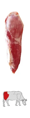 Dana Nuar