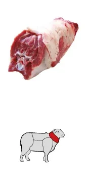 Kuzu Gerdan