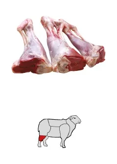 Kuzu İncik