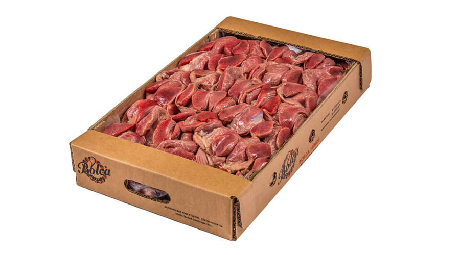 Taslik-Kolili.jpg